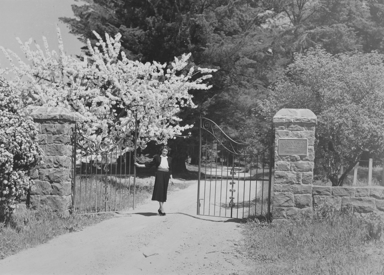 Antonia at the gates of the Buena Vista