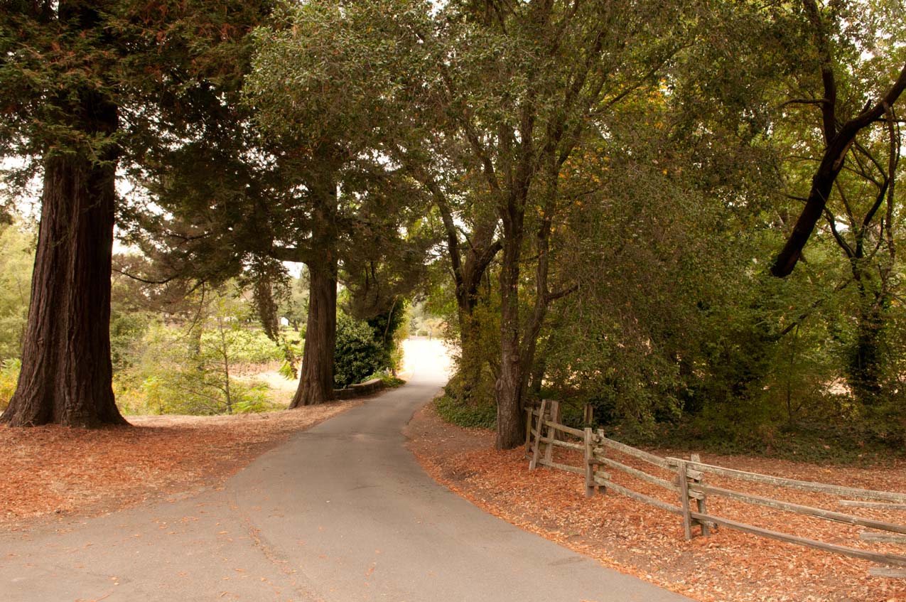 Driveway into the Park
