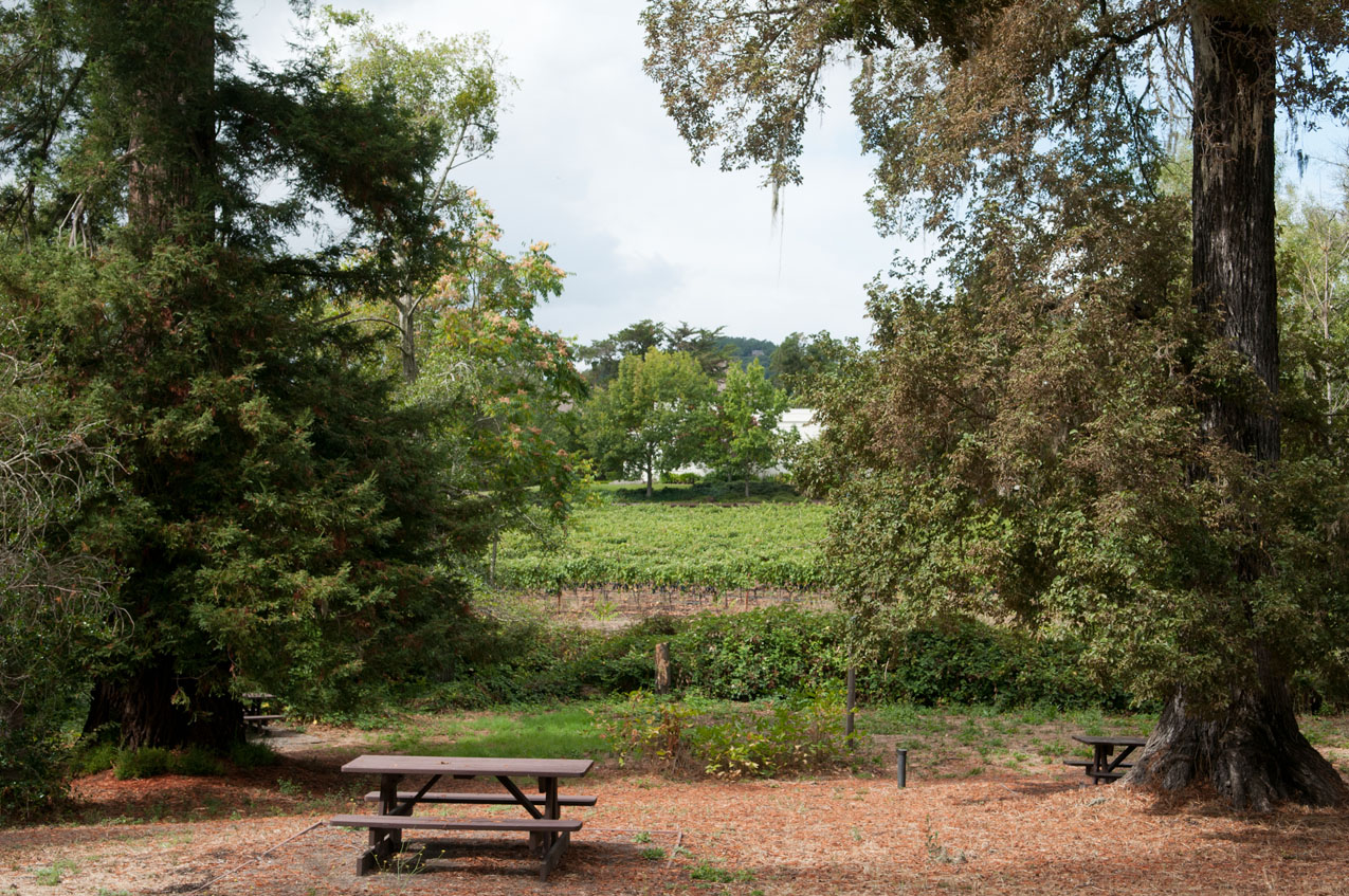 Picnic tables
