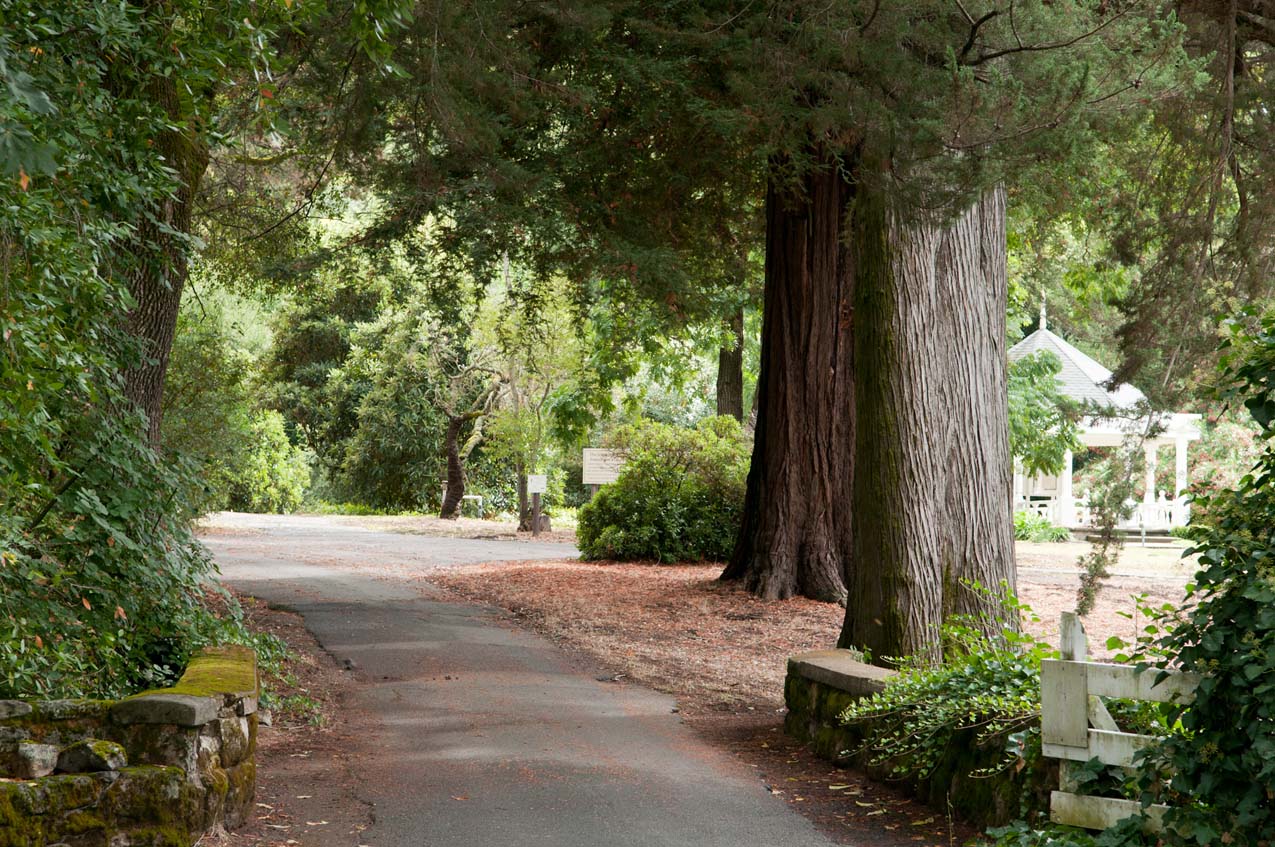 Walking path